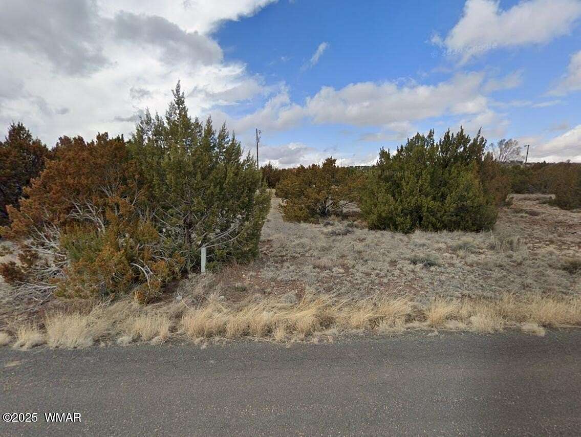 0.38 Acres of Residential Land for Sale in Concho, Arizona