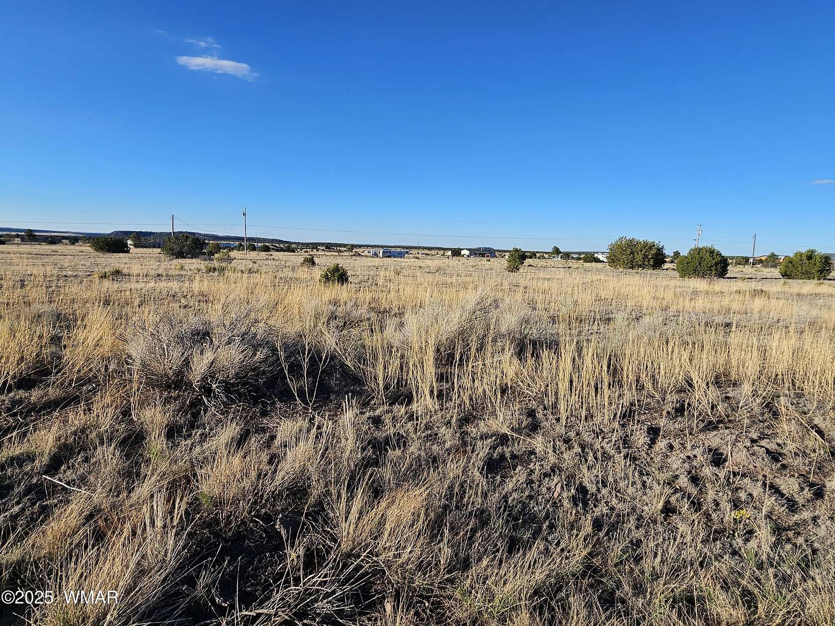 1.26 Acres of Residential Land for Sale in Nutrioso, Arizona