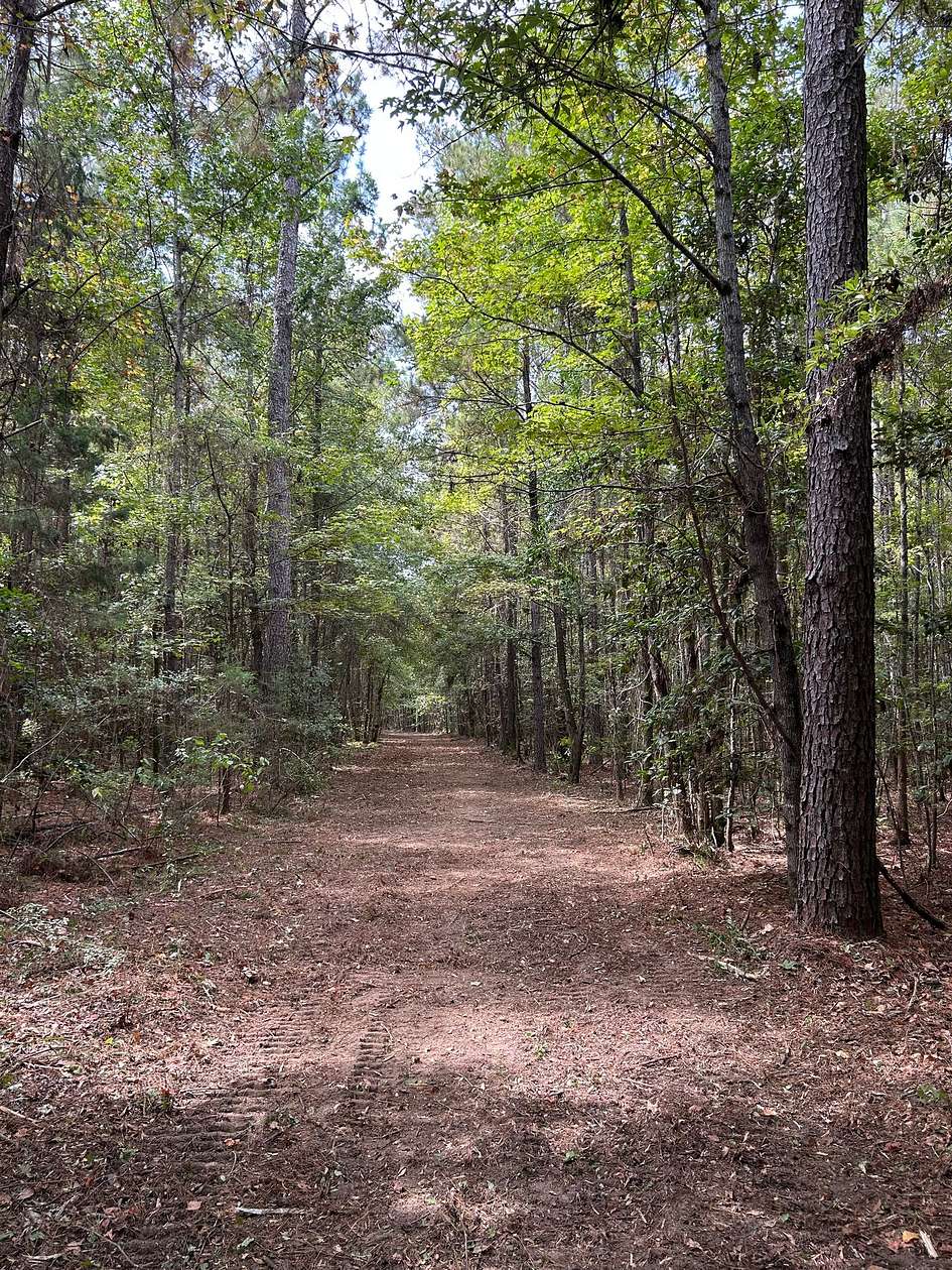 28 Acres of Recreational Land for Sale in Repton, Alabama