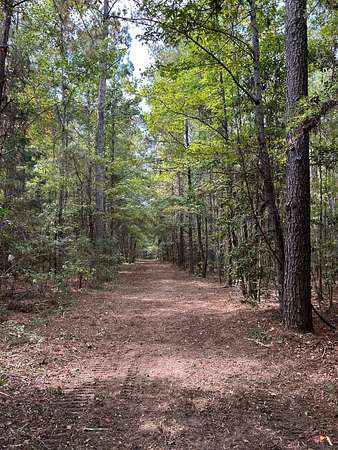 28 Acres of Recreational Land for Sale in Repton, Alabama