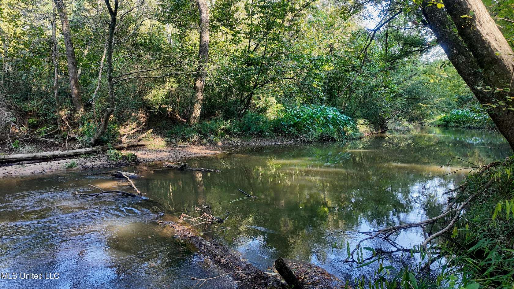 30 Acres of Land for Sale in Liberty, Mississippi