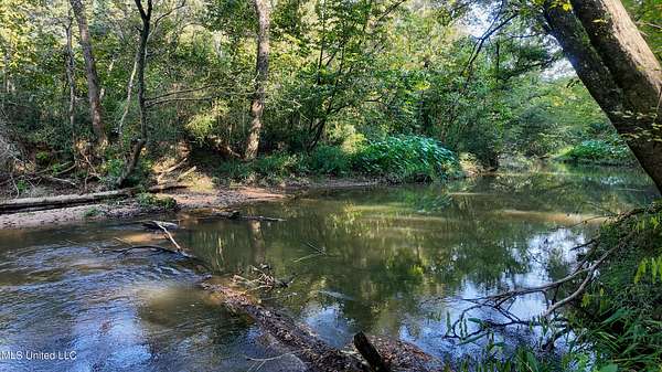 30 Acres of Land for Sale in Liberty, Mississippi