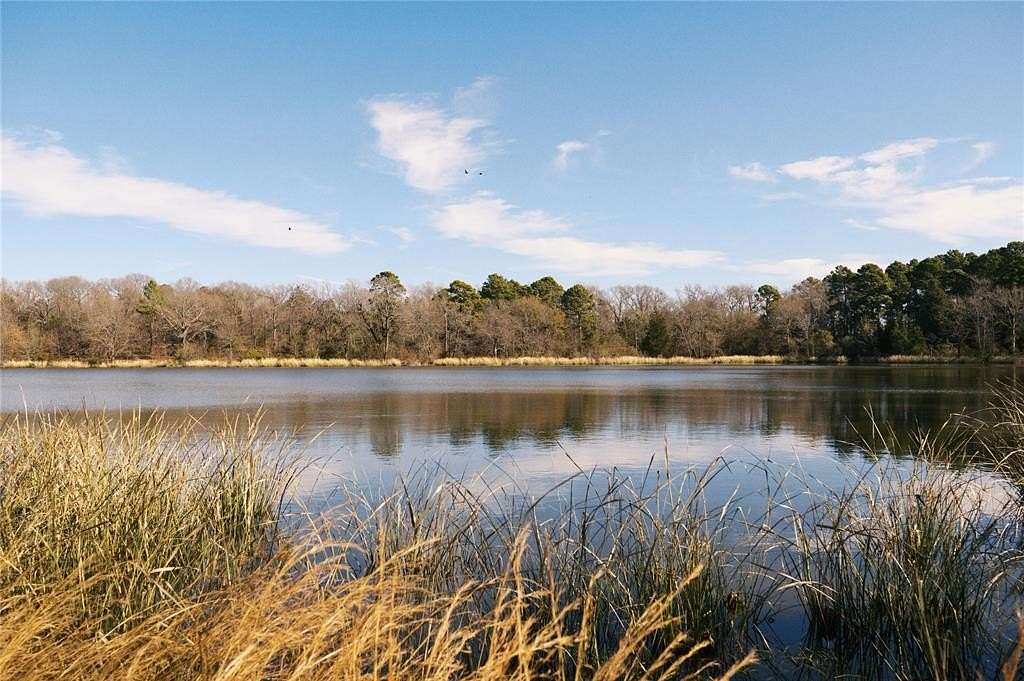 1 Acre of Residential Land for Sale in Mineola, Texas