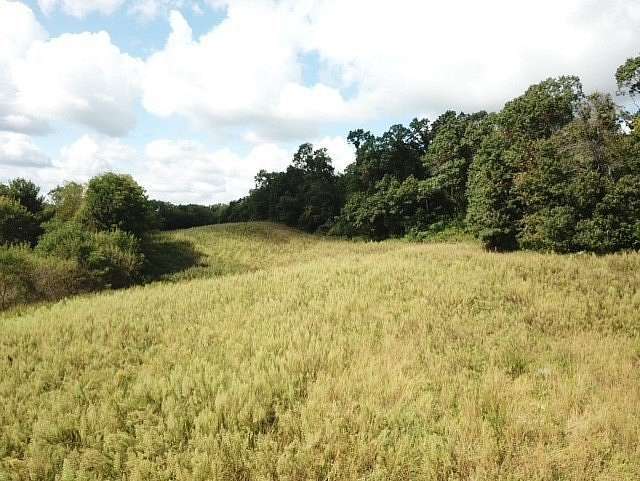 24.5 Acres of Recreational Land & Farm for Sale in Black River Falls, Wisconsin