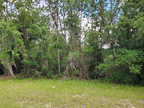 0.23 Acres of Residential Land for Sale in Ocala, Florida