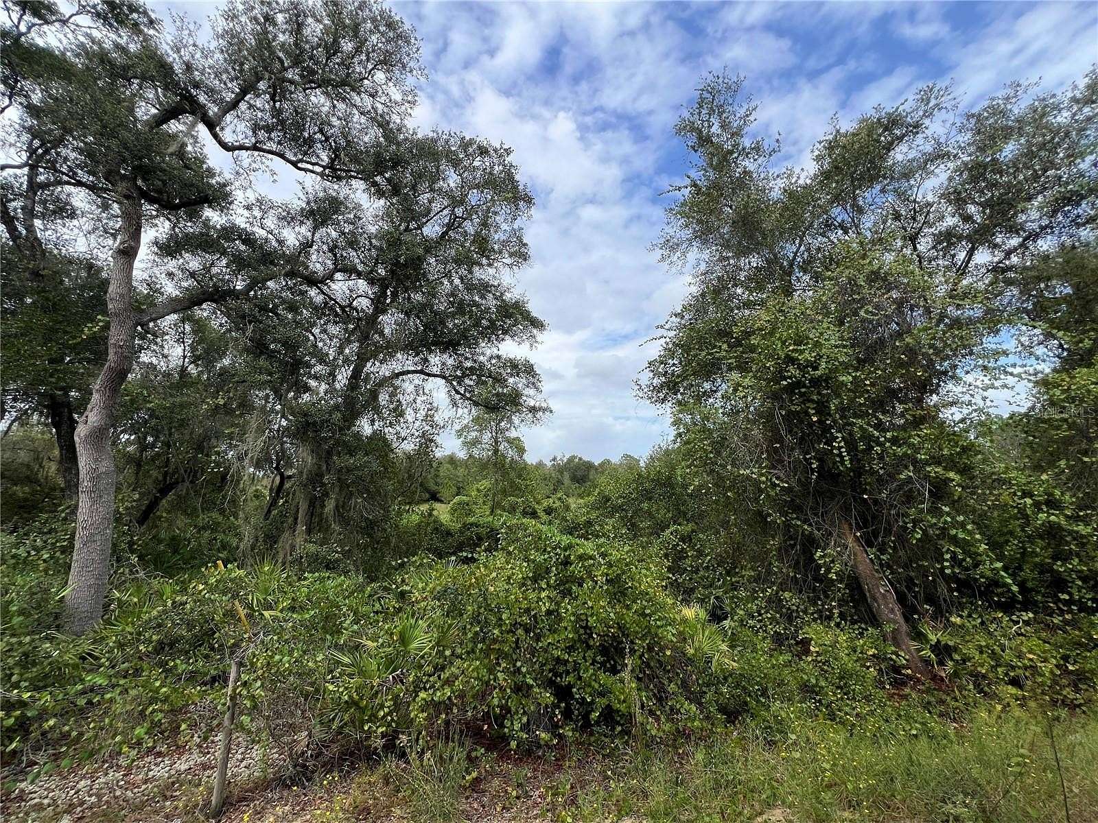 4.8 Acres of Residential Land for Sale in Melrose, Florida