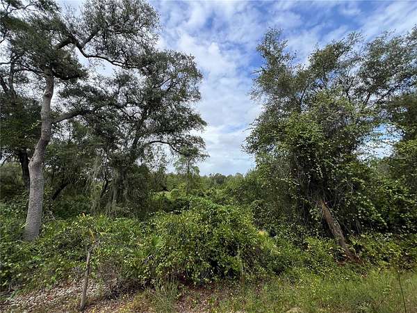 4.8 Acres of Residential Land for Sale in Melrose, Florida
