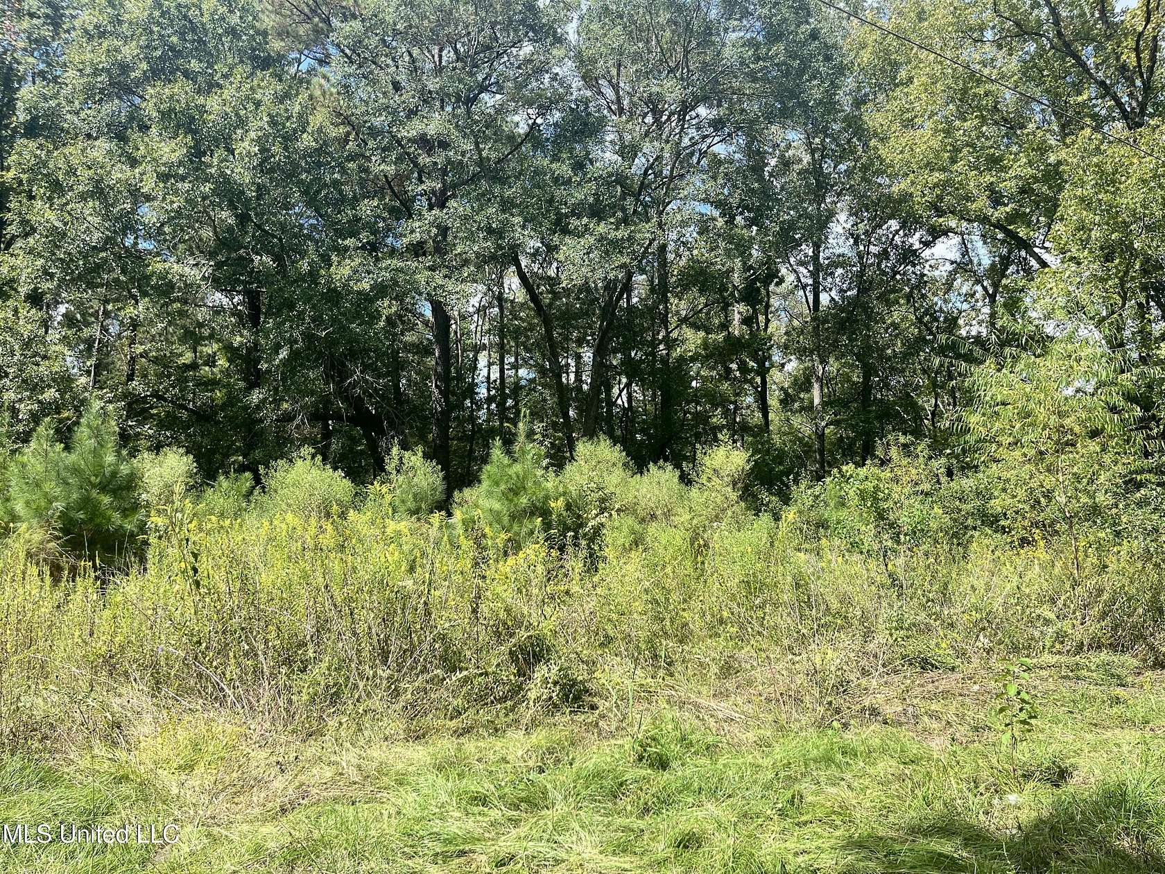 14.5 Acres of Recreational Land for Sale in Brandon, Mississippi