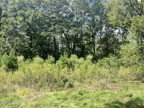 14.5 Acres of Recreational Land for Sale in Brandon, Mississippi