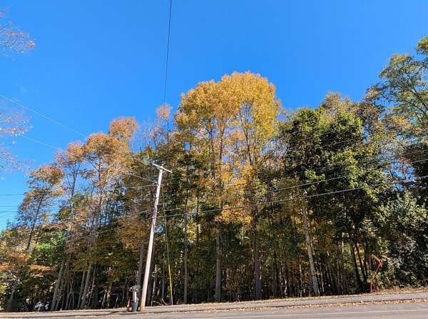 2 Acres of Residential Land for Sale in Belfast, Maine