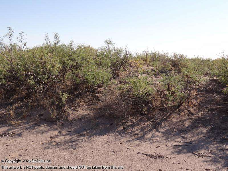 5 Acres of Land for Sale in Deming, New Mexico