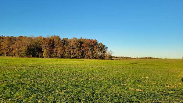 7.13 Acres of Land for Sale in Woodbury, Tennessee