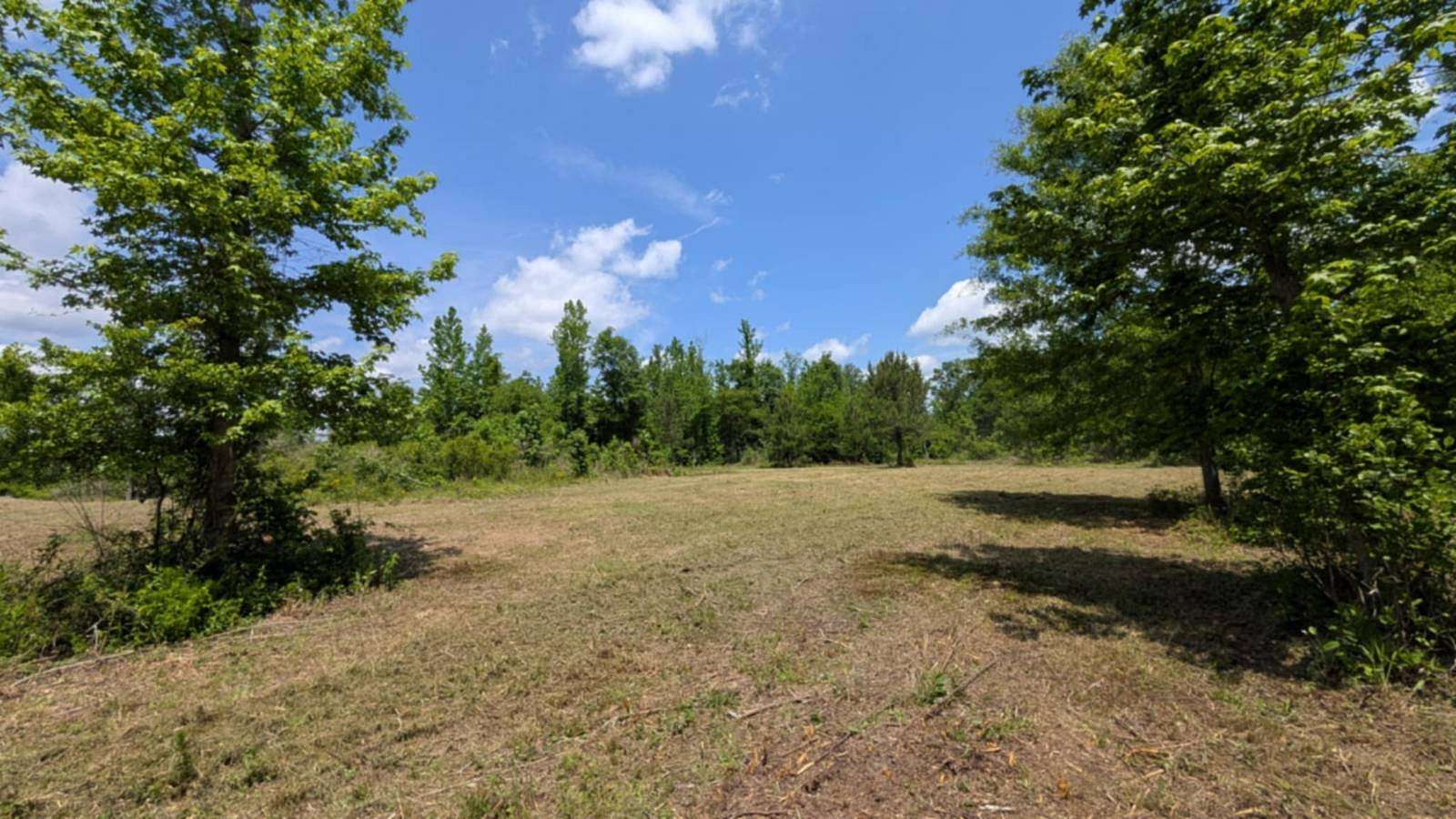 5 Acres of Land for Sale in Luverne, Alabama