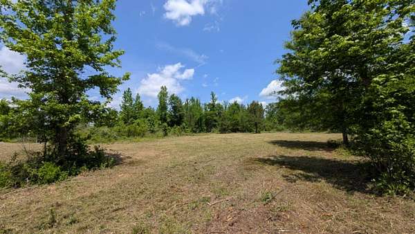 5 Acres of Land for Sale in Luverne, Alabama
