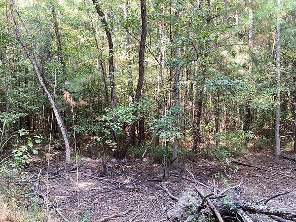 16.7 Acres of Land for Sale in Philadelphia, Mississippi