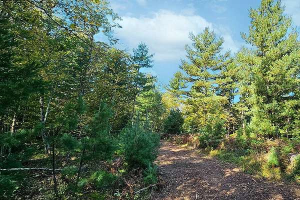 8.86 Acres of Land for Sale in Solon Springs, Wisconsin