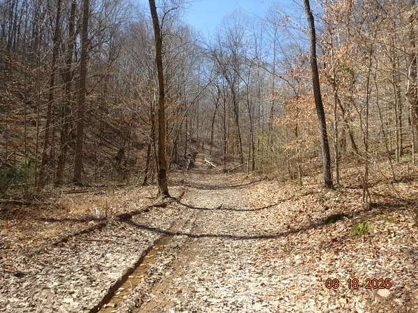 122 Acres of Land for Sale in Whites Creek, Tennessee