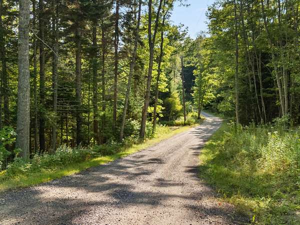 10.8 Acres of Land for Sale in Phippsburg, Maine