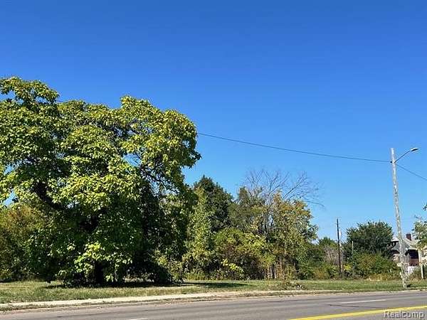 0.07 Acres of Residential Land for Sale in Detroit, Michigan