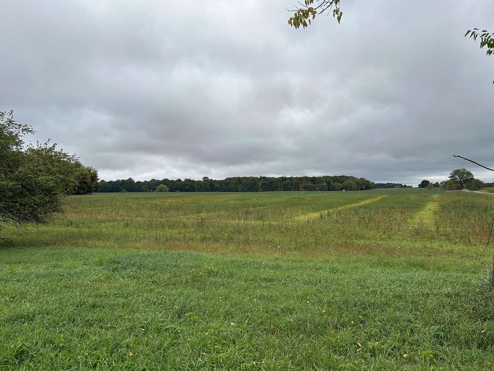 2.52 Acres of Residential Land for Sale in Woodland, Michigan