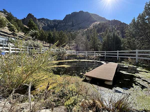 204 Acres of Recreational Land with Home for Sale in Mitchell, Oregon