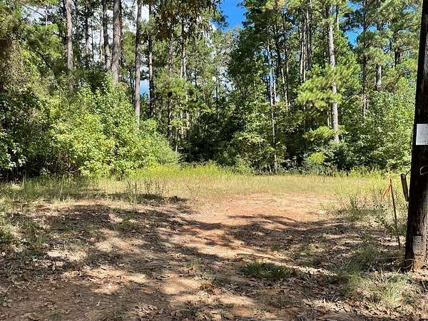 2.5 Acres of Residential Land for Sale in Kennard, Texas