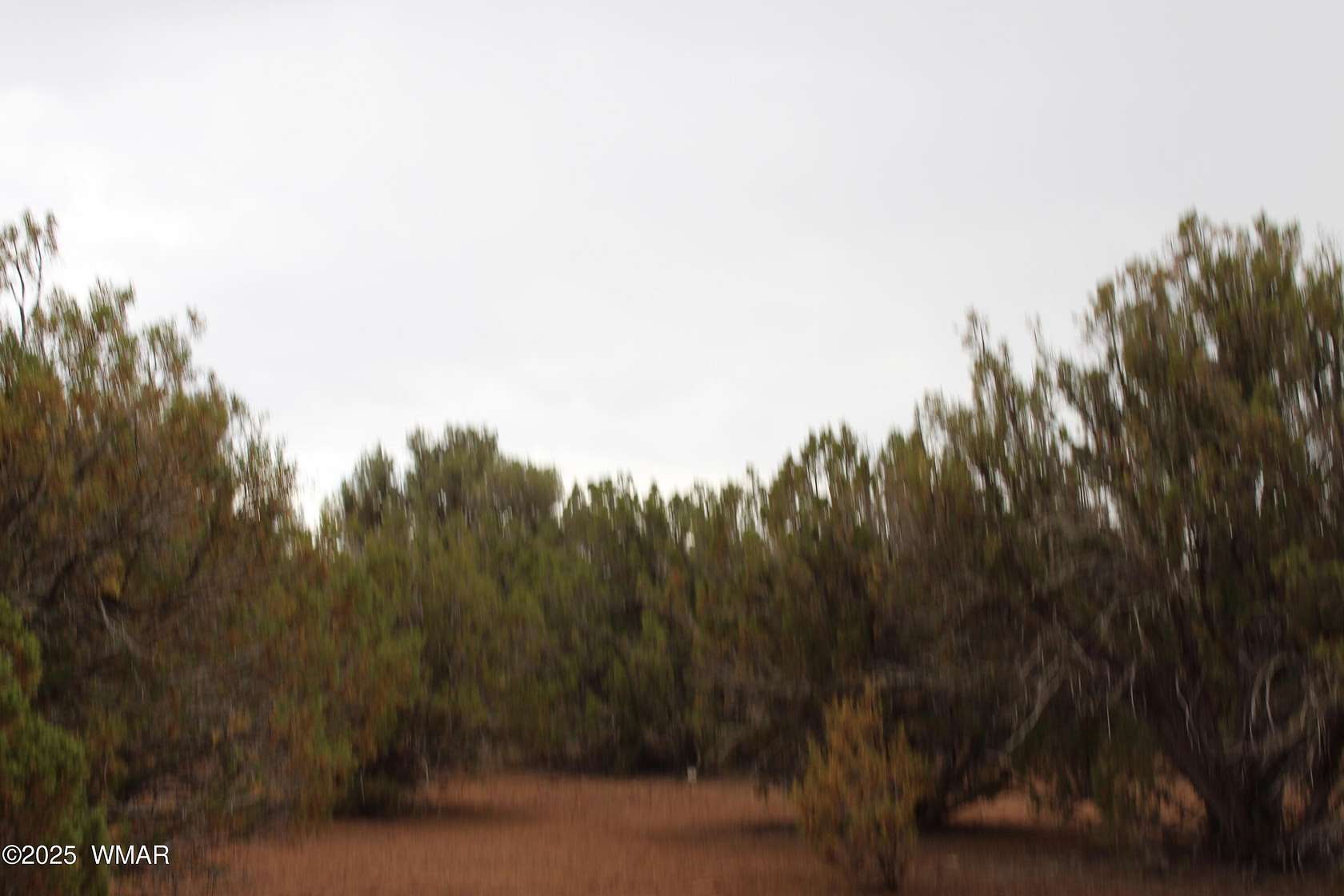 5.18 Acres of Residential Land for Sale in White Mountain Lake, Arizona