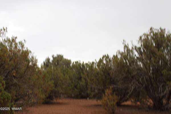 5.18 Acres of Residential Land for Sale in White Mountain Lake, Arizona