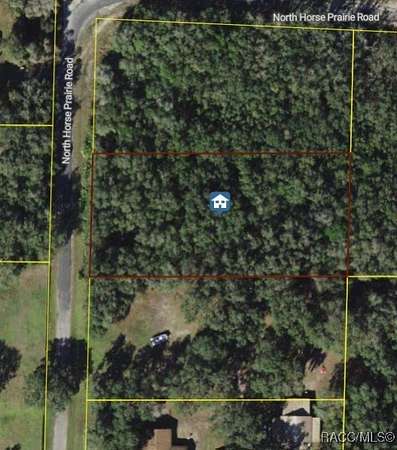 1 Acre of Residential Land for Sale in Inverness, Florida