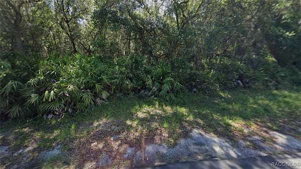 1 Acre of Residential Land for Sale in Inverness, Florida