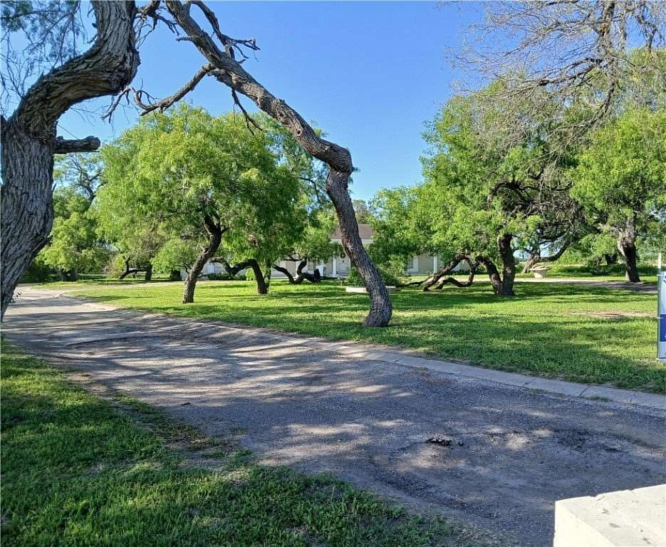 9 Acres of Residential Land with Home for Sale in Alice, Texas