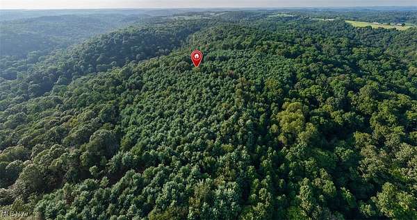 83.6 Acres of Recreational Land for Auction in Tippecanoe, Ohio