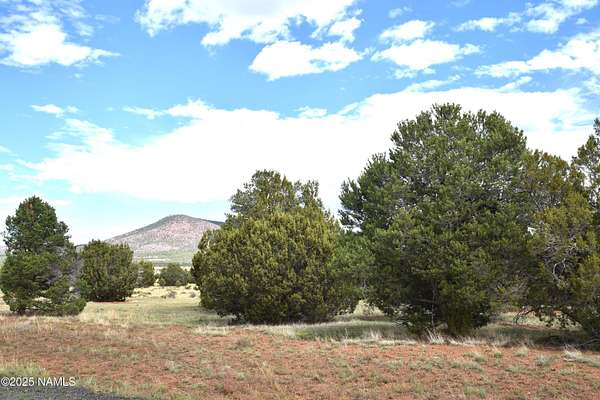 2.5 Acres of Land for Sale in Williams, Arizona