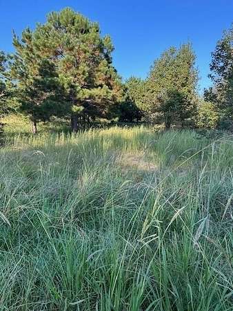 Land for Sale in Washington, Georgia