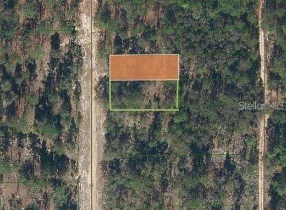 0.1 Acres of Residential Land for Sale in Interlachen, Florida