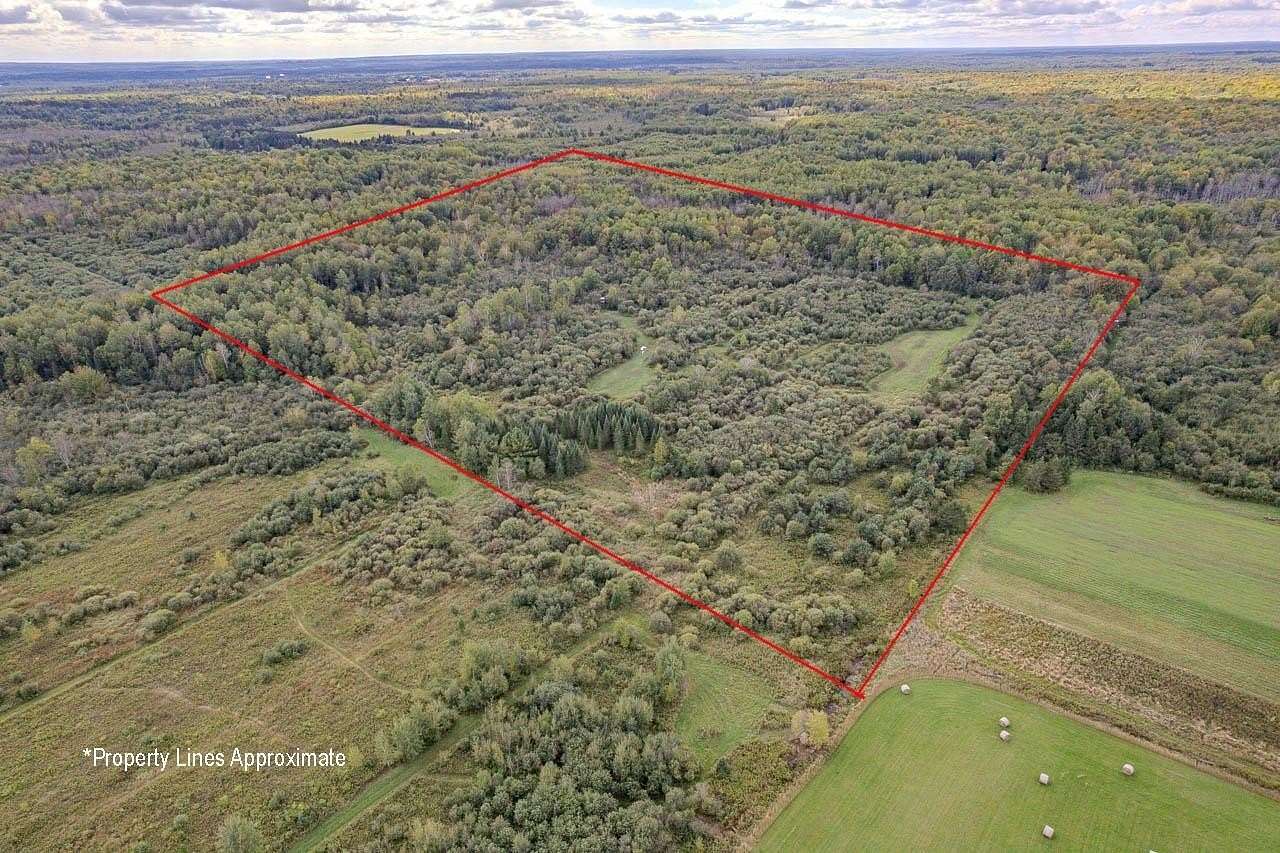 40 Acres of Recreational Land for Sale in Tomahawk, Wisconsin
