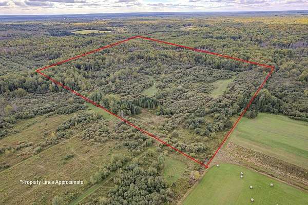 40 Acres of Recreational Land for Sale in Tomahawk, Wisconsin