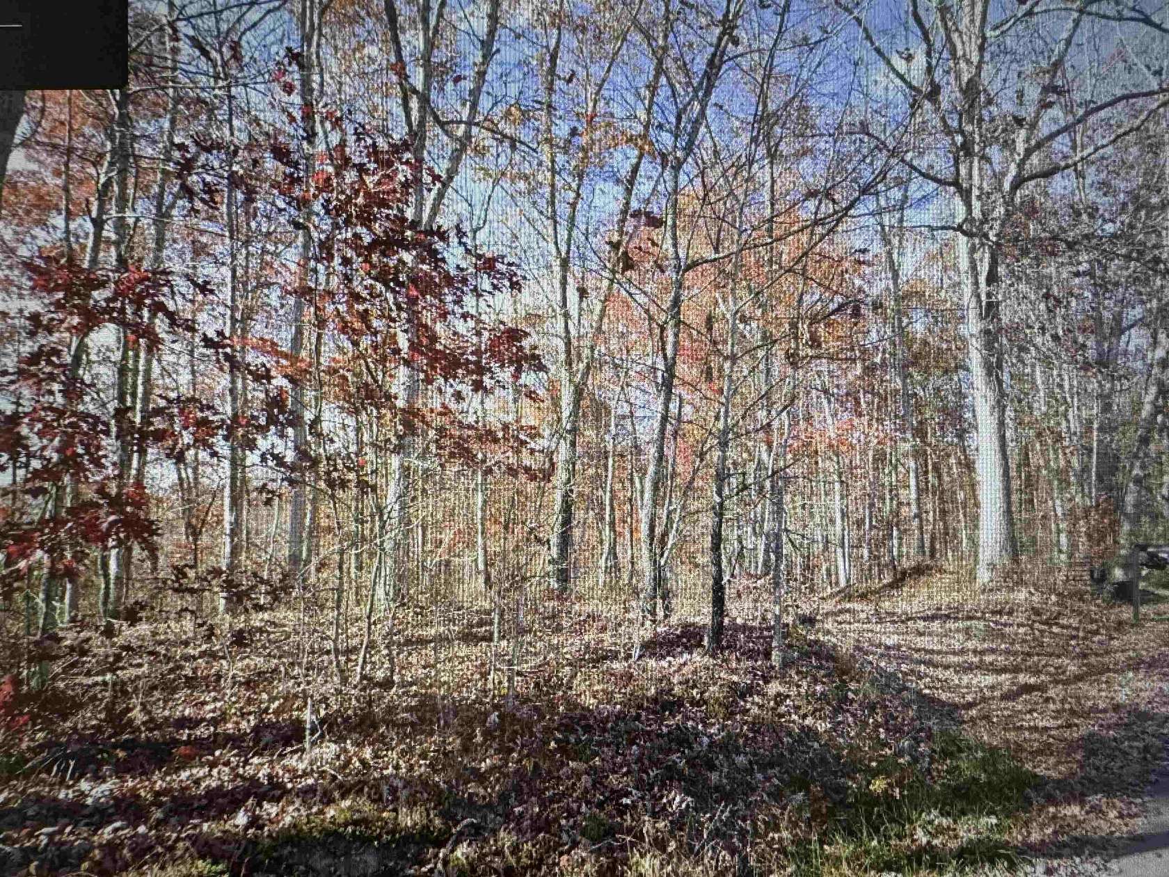 56 Acres of Land for Sale in Camden on Gauley, West Virginia