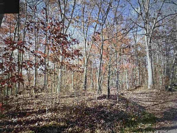 56 Acres of Land for Sale in Camden on Gauley, West Virginia