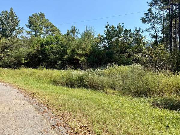 11 Acres of Recreational Land for Sale in Carbon Hill, Alabama