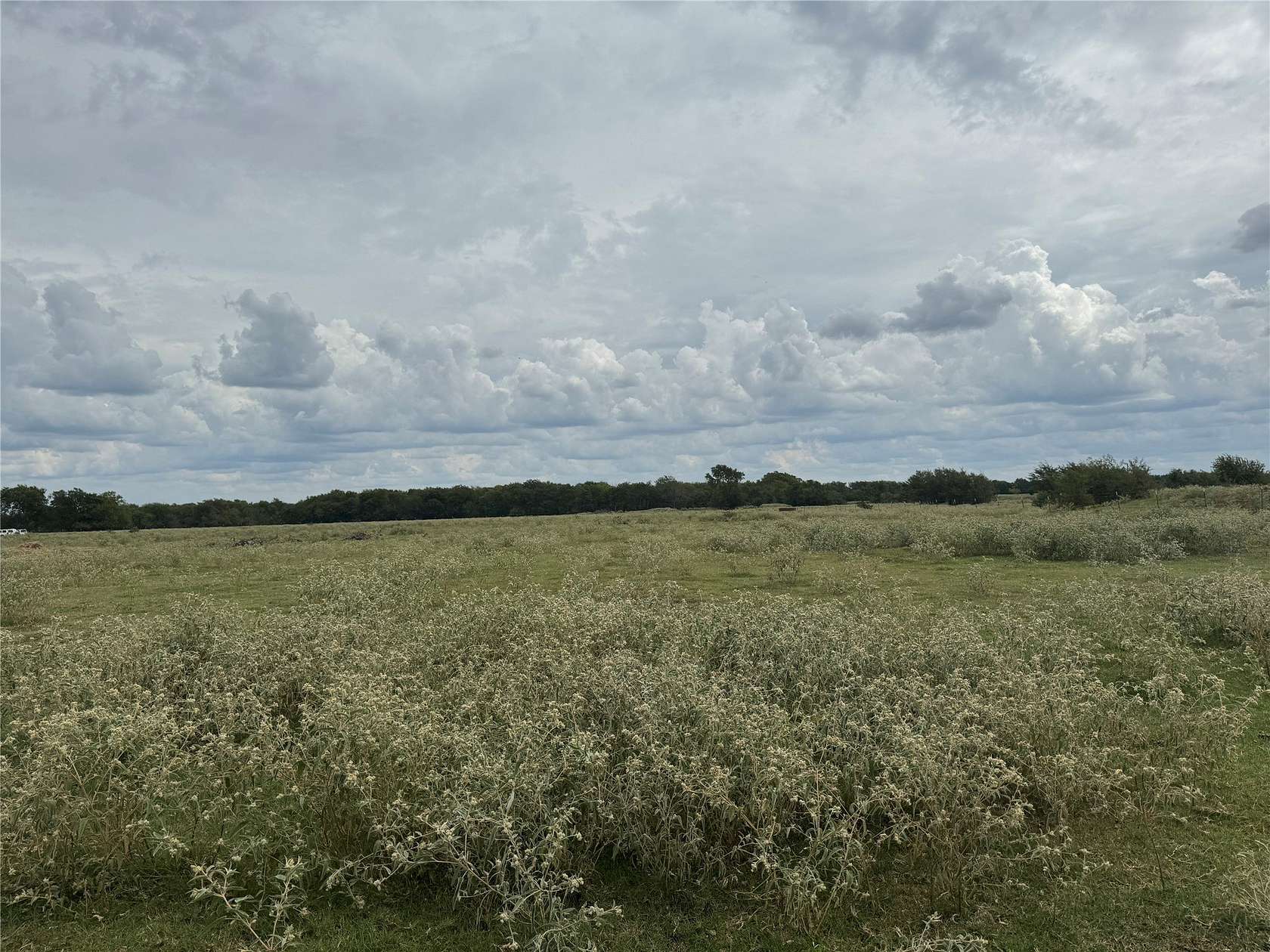 11 Acres of Land for Sale in Honey Grove, Texas