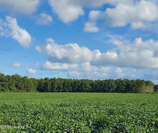 13.8 Acres of Land for Sale in Hertford, North Carolina
