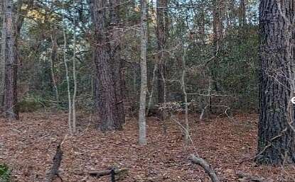 7.73 Acres of Mixed-Use Land for Sale in Wadmalaw Island, South Carolina