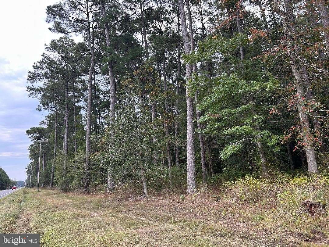 42 Acres of Recreational Land for Sale in Cambridge, Maryland