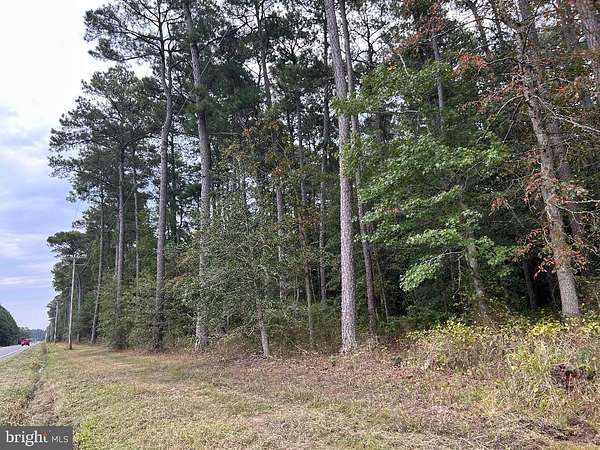 42 Acres of Recreational Land for Sale in Cambridge, Maryland