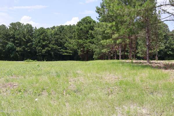 1 Acre of Commercial Land for Sale in Pearl, Mississippi