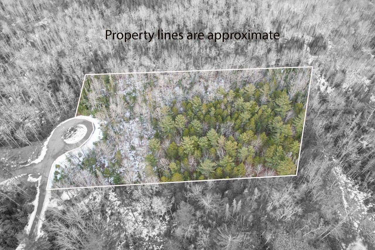 4 Acres of Residential Land for Sale in Lamoine Town, Maine