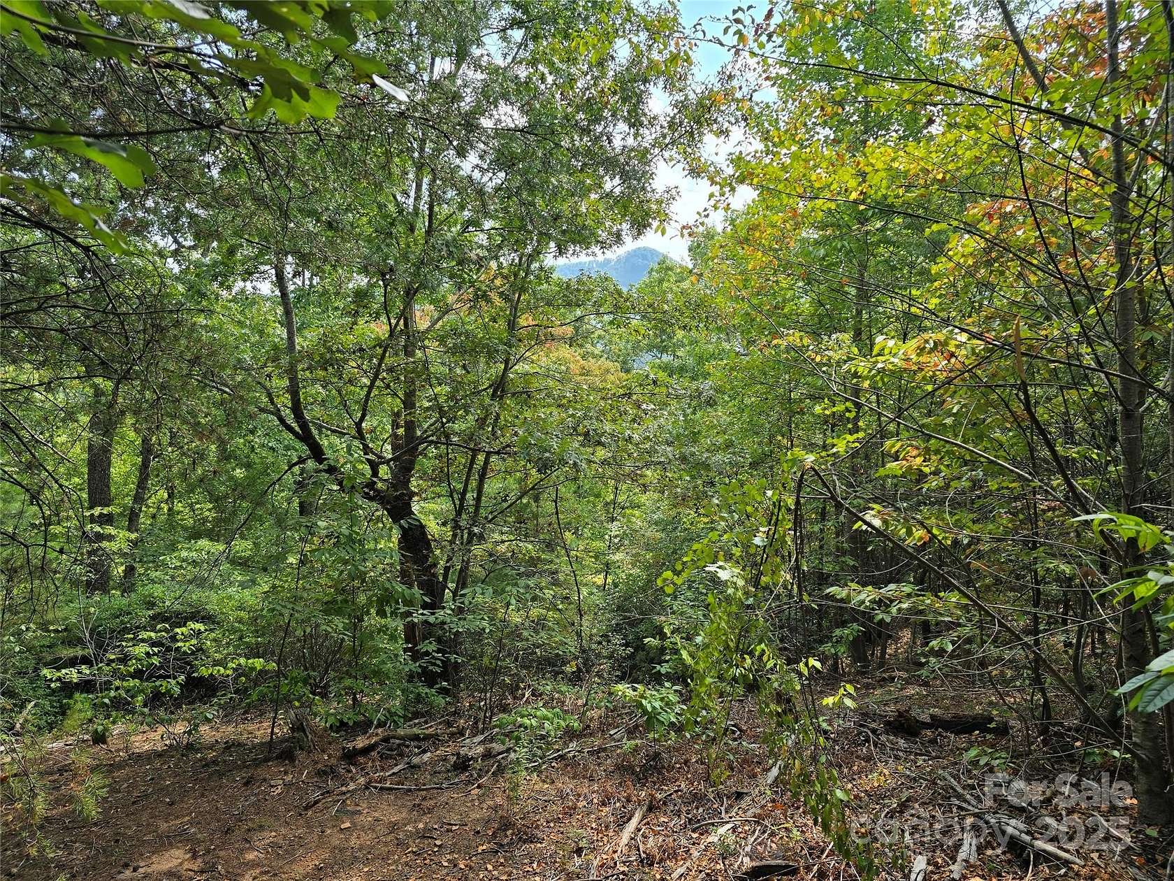 0.9 Acres of Residential Land for Sale in Lake Lure, North Carolina