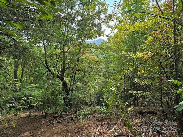 0.9 Acres of Residential Land for Sale in Lake Lure, North Carolina