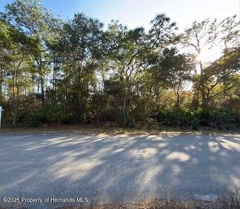 0.32 Acres of Residential Land for Sale in Brooksville, Florida
